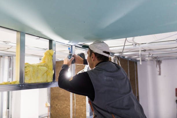 Best Geographic-Specific Insulation Services in Jenks, OK